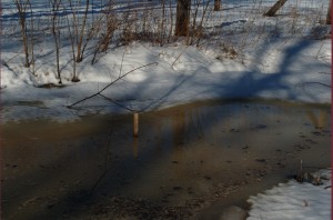 Stake with snow melt water rising