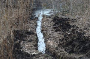 Picture of ditch 1